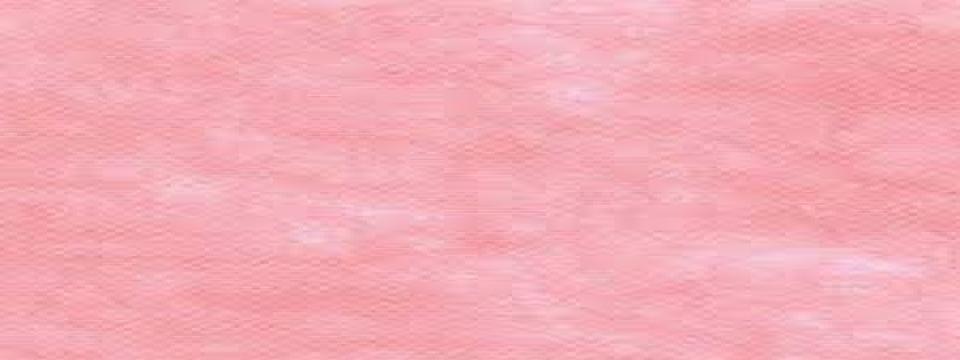 TNT ROSA 40G/M2 50XL1.4M 100%